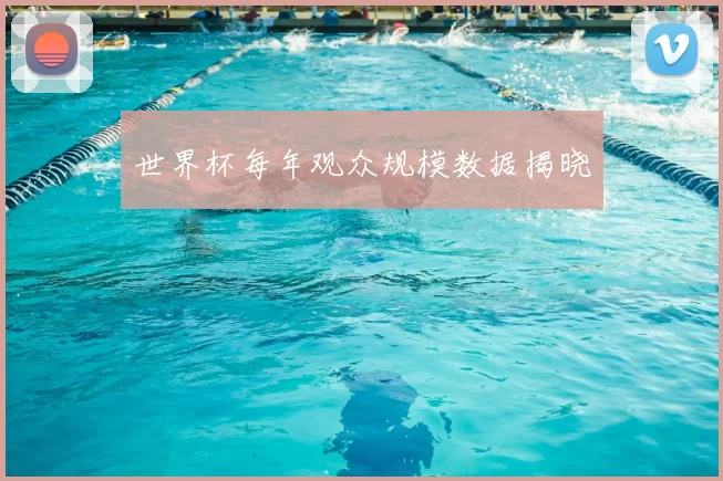 世界杯每年观众规模数据揭晓