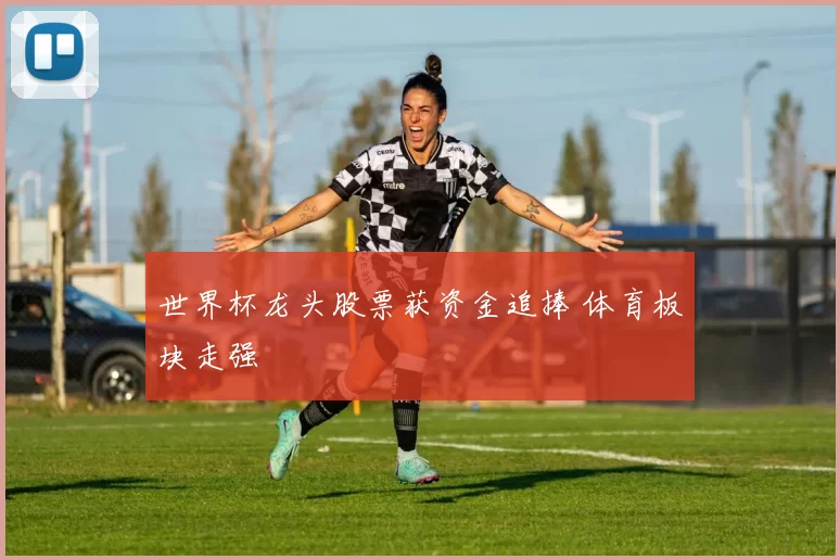 世界杯龙头股票获资金追捧 体育板块走强
