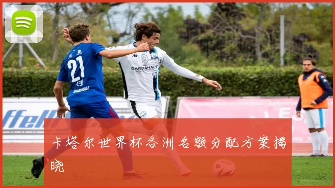 卡塔尔世界杯各洲名额分配方案揭晓