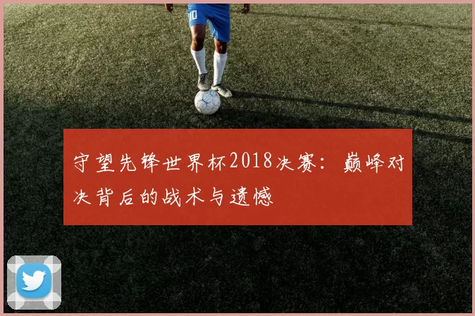 守望先锋世界杯2018决赛:巅峰对决背后的战术与遗憾