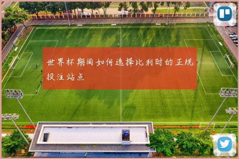 世界杯期间如何选择比利时的正规投注站点