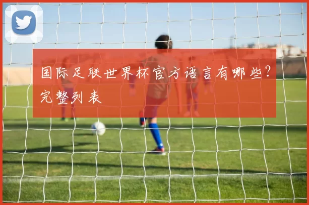 国际足联世界杯官方语言有哪些？完整列表