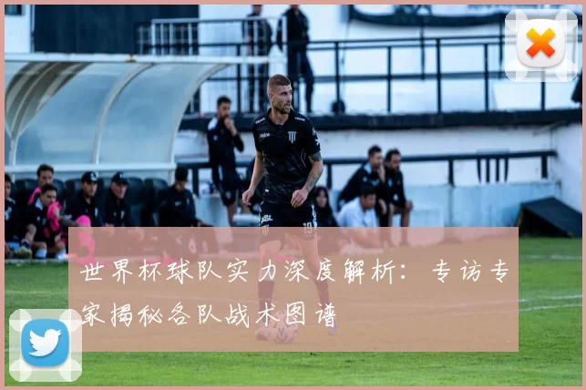 世界杯球队实力深度解析:专访专家揭秘各队战术图谱