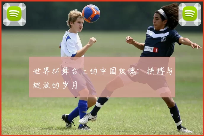 世界杯舞台上的中国玫瑰:拼搏与绽放的岁月