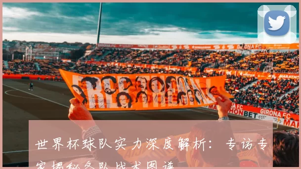 世界杯球队实力深度解析:专访专家揭秘各队战术图谱