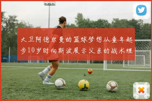 大卫阿德尔曼的篮球梦想从童年起步10岁时向斯波展示父亲的战术理念