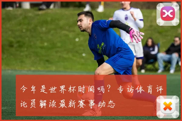 今年是世界杯时间吗?专访体育评论员解读最新赛事动态