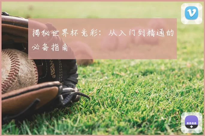 揭秘世界杯竞彩:从入门到精通的必备指南