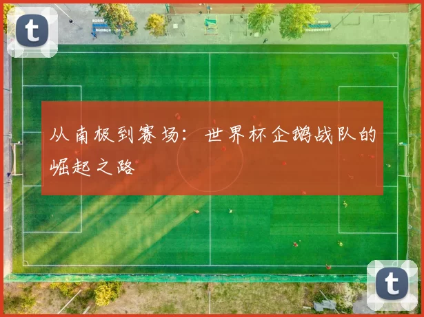 从南极到赛场：世界杯企鹅战队的崛起之路