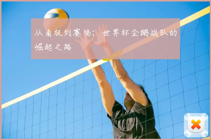 从南极到赛场:世界杯企鹅战队的崛起之路