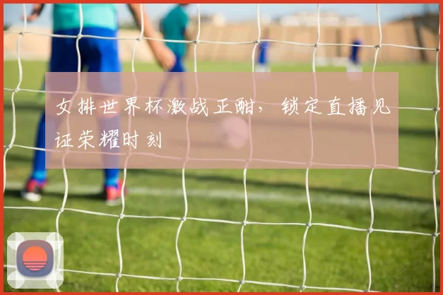 女排世界杯激战正酣,锁定直播见证荣耀时刻